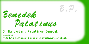 benedek palatinus business card